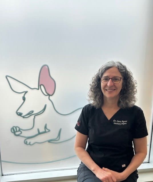 Dr. Sara Ayres, Barrie Veterinarian